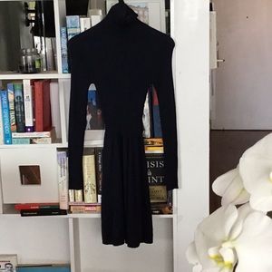 Turtle neck Classic dress